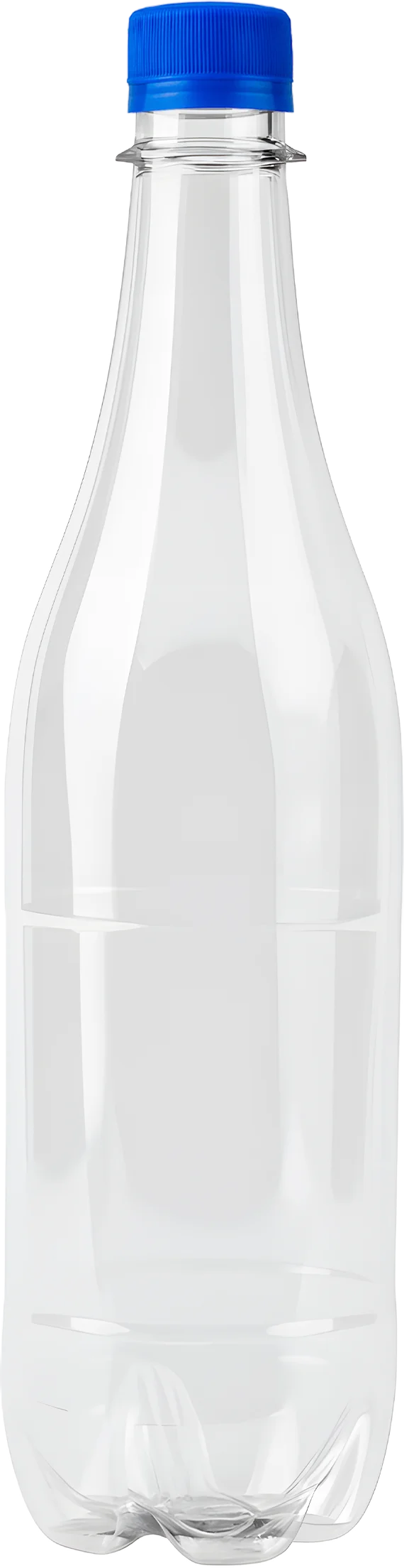 BOTELLA 600 ML  NAT PCO28-1816 CHAMPAÑERA